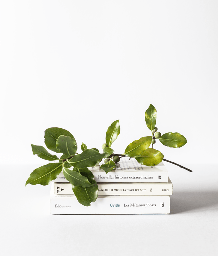 best books of 2018 - best psychologial thrillers - crime - mystery - new lune - novels