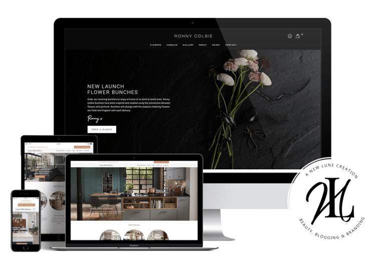 silky ocean studios - portfolio - best business wordpress themes - digital agency - new lune - web design agency