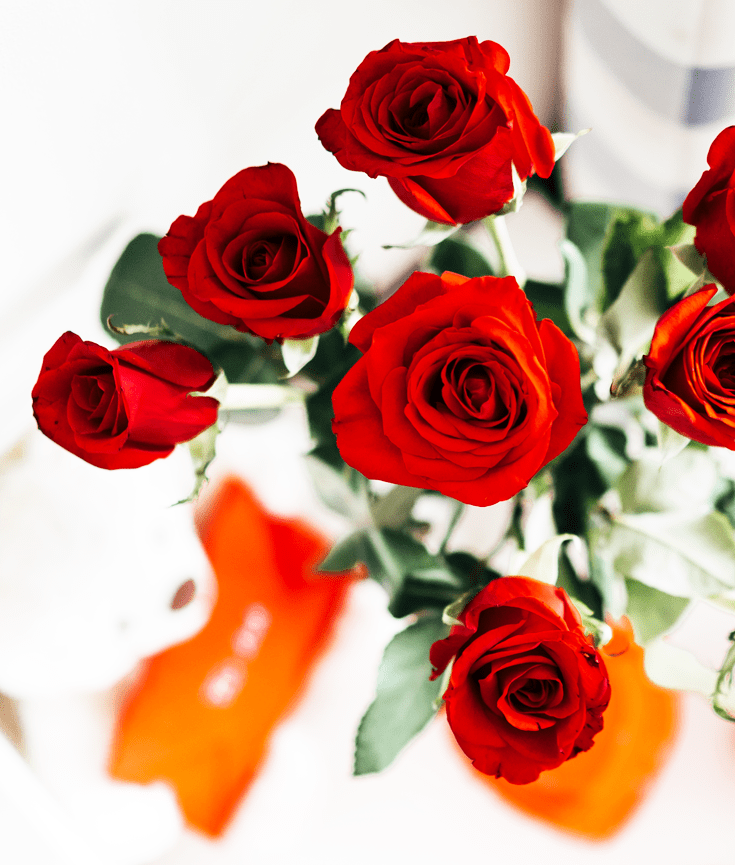 celebrating valentine's day - new lune