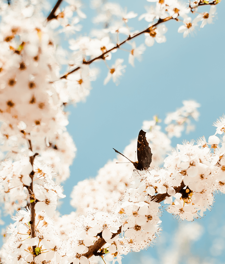 25 things I am proud of - new lune