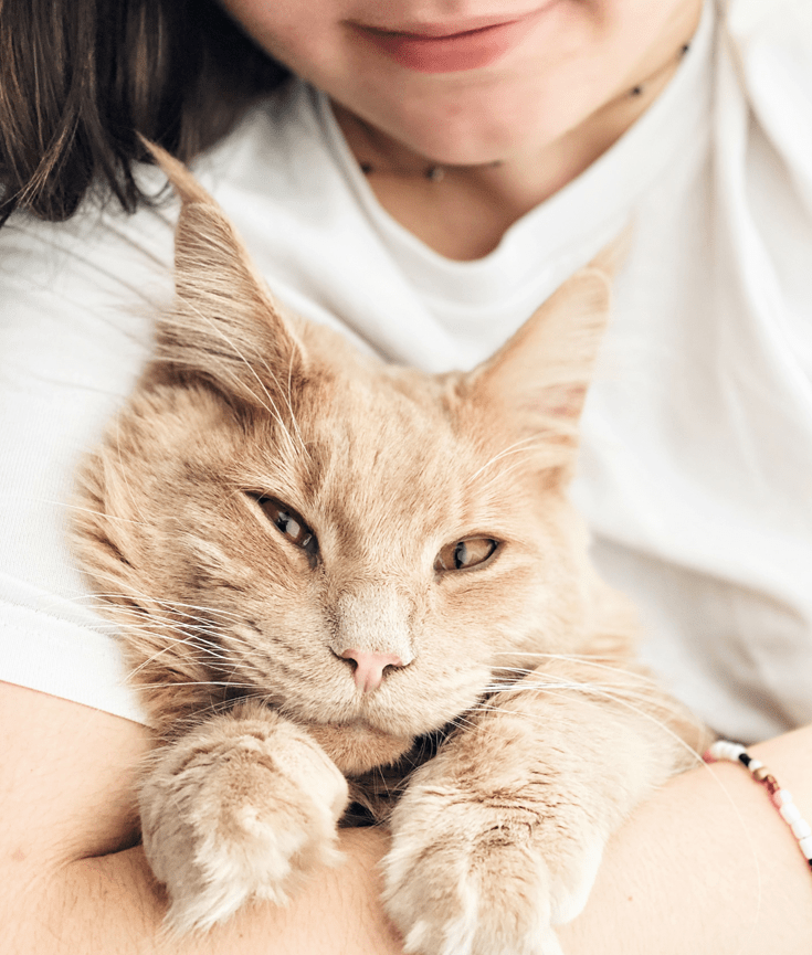 gift guide for pet lovers - new lune