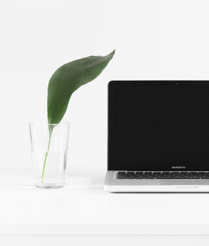 how to get more email subscribers to your newsletter - new lune