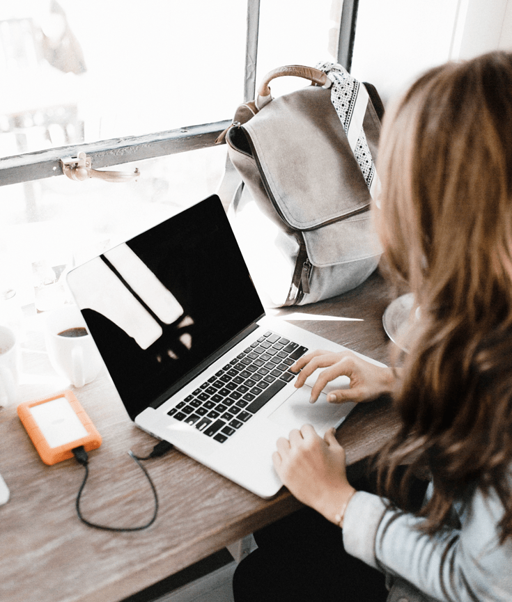 the ultimate guide to wordpress plugins - new lune