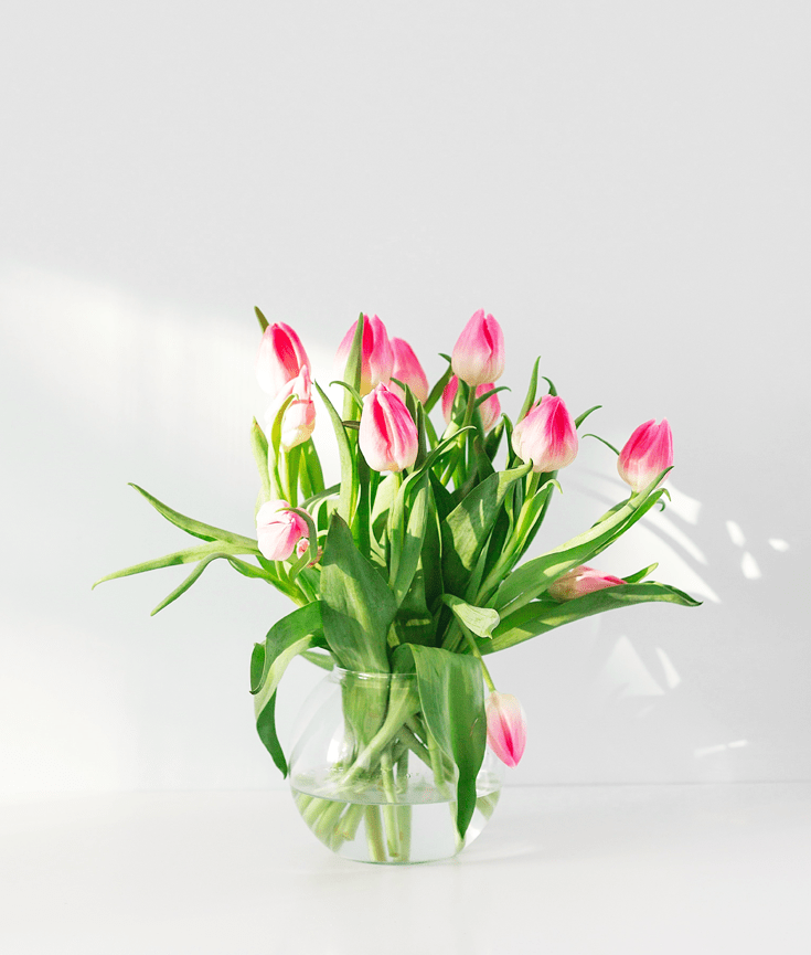 4 things that made me happy - new lune