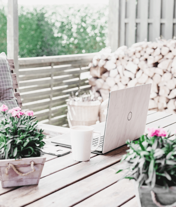 how to optimise your website - seo for beginners - new lune