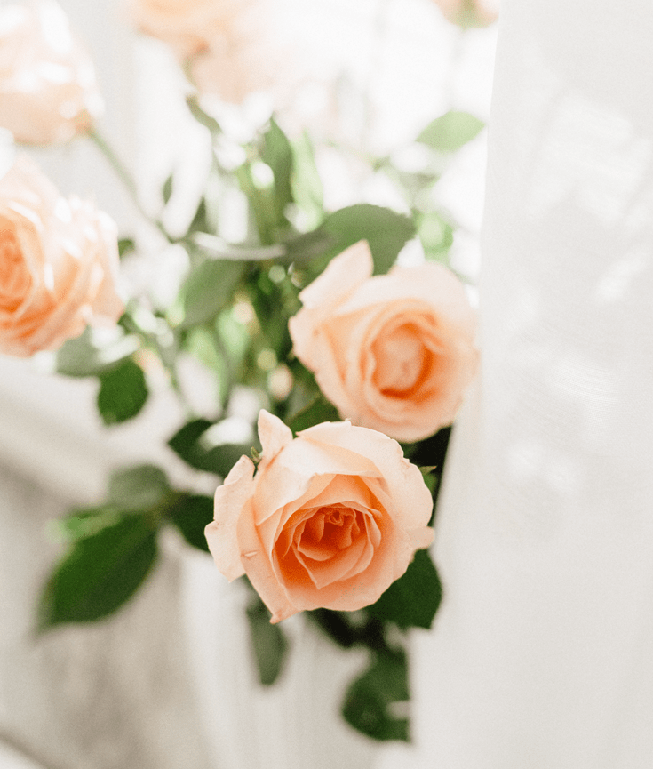 10 ways to live a peaceful life - new lune