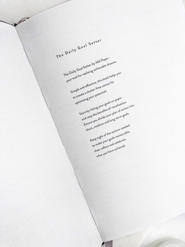daily goal setter plan - mal paper - new lune - how I plan and create content on my blog