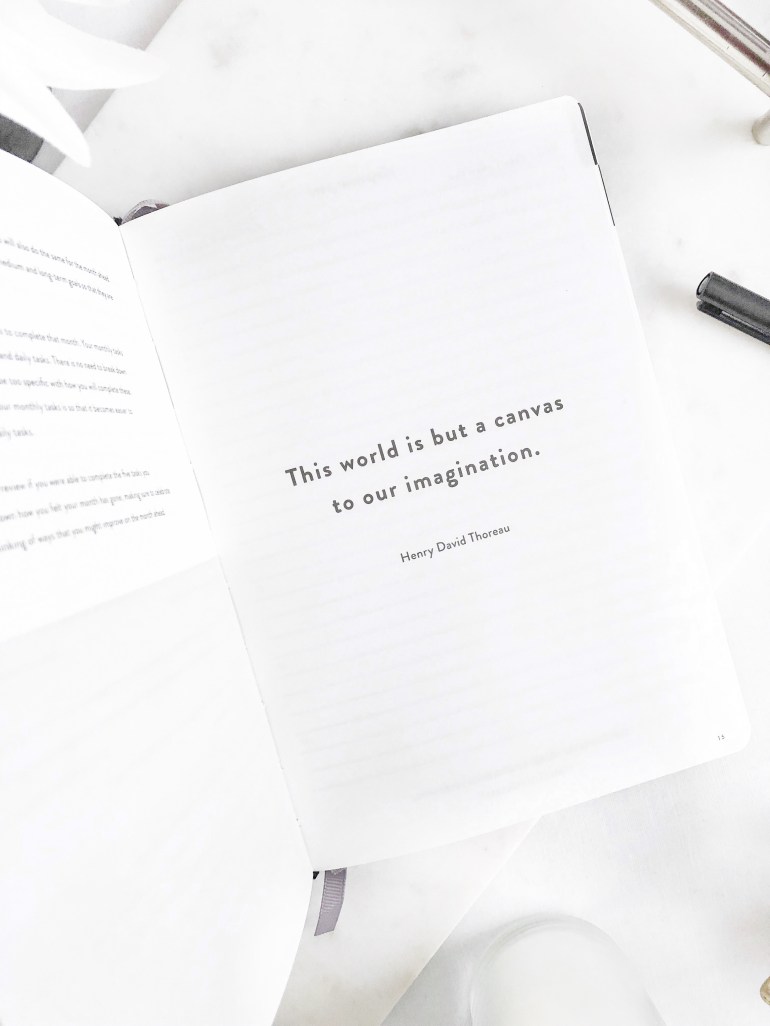 daily goal setter planner - mal paper - how I plan and create content on my blog - new lune - quotes