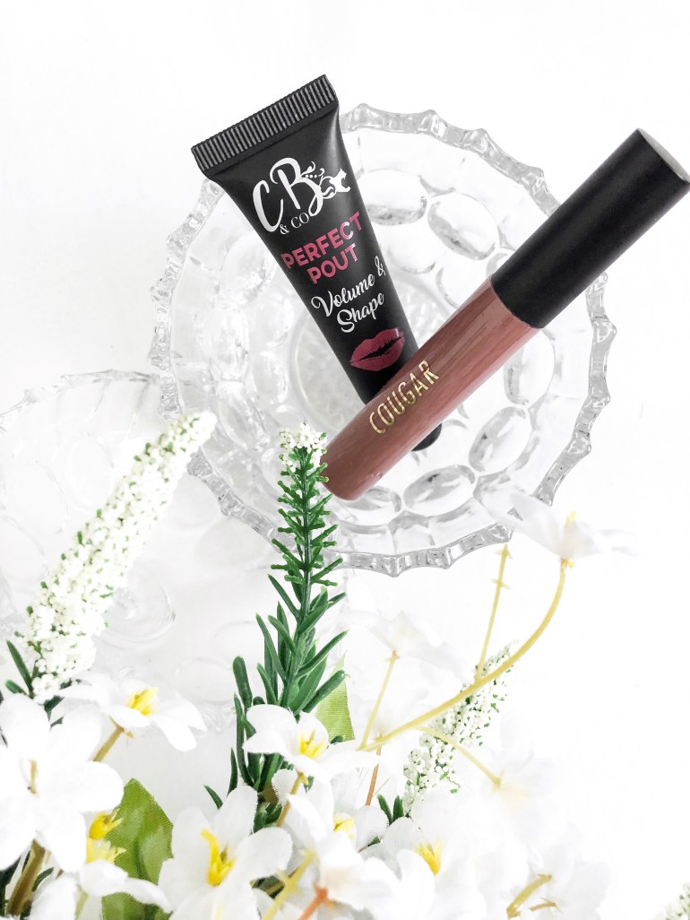 testing new beauty products - cougar beauty - cocoa liquid lipstick - lip gloss - new lune