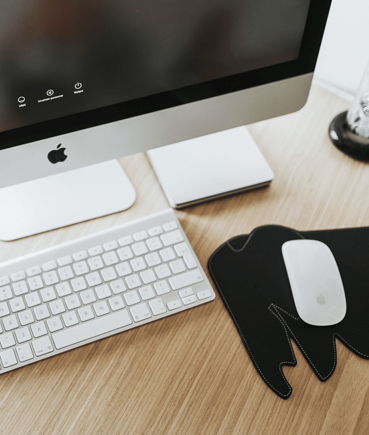 what to expect as a new blogger - new lune