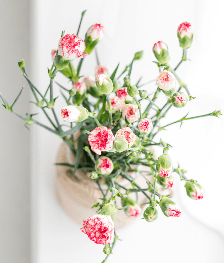 3 things to remember if you feel like giving up on your blog - new lune