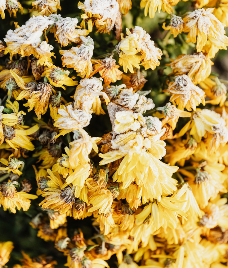 4 ways to stop overthinking - new lune