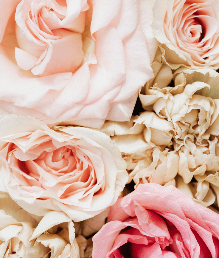 how to deal with haters in real life - new lune