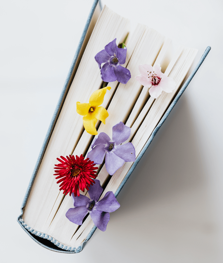 how to feel content and not late in life - new lune