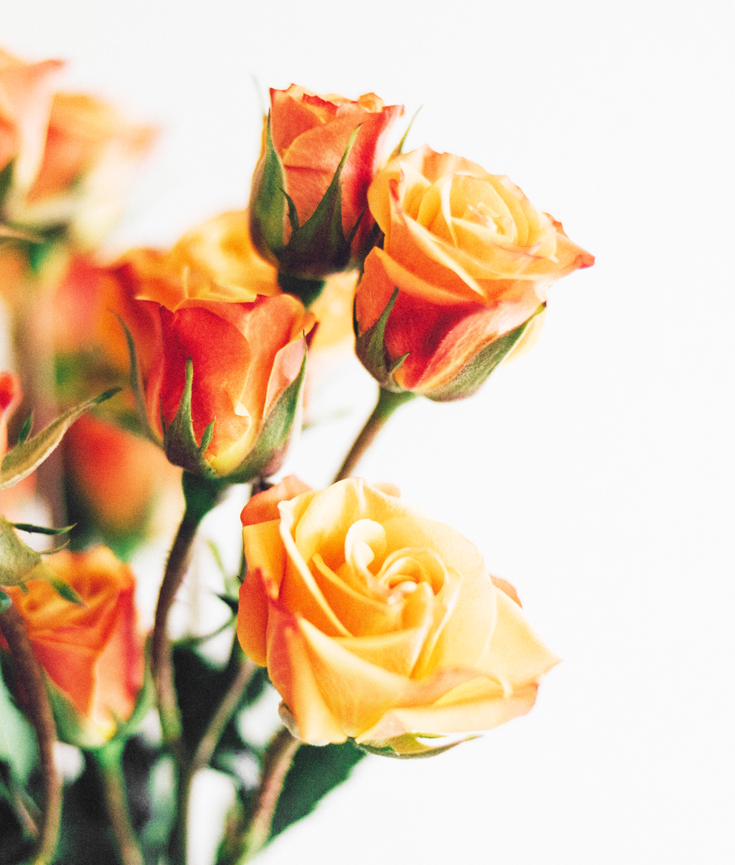 a few things I've been loving at the moment - new lune