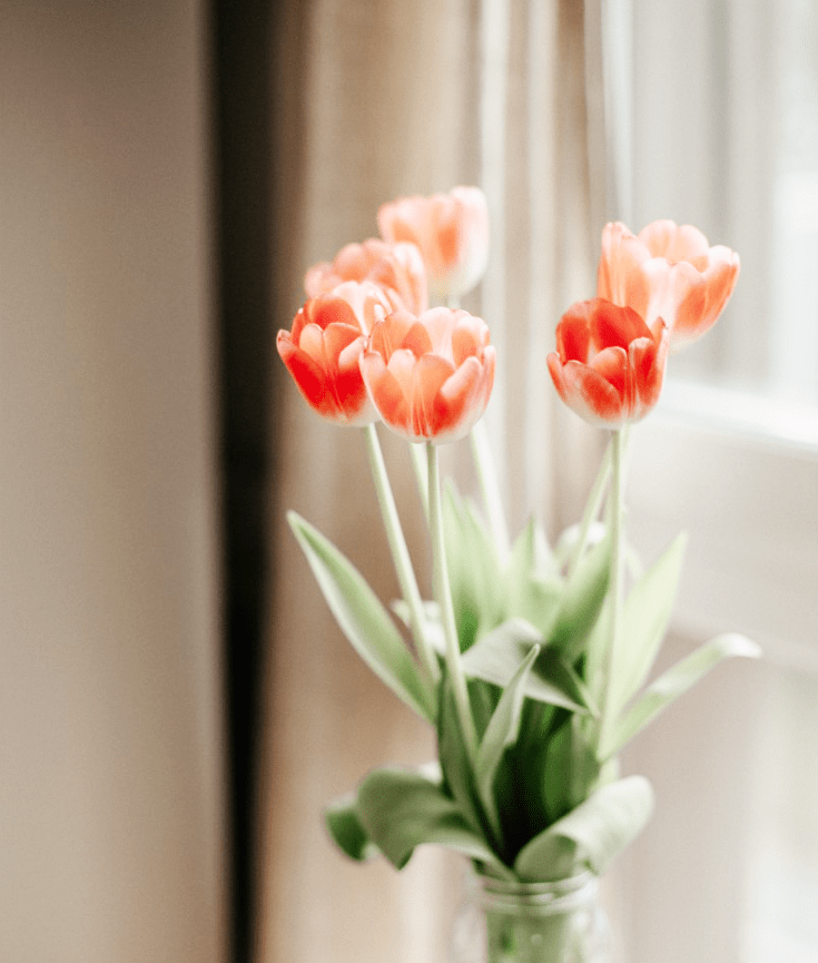 how to be truly happy in life - new lune