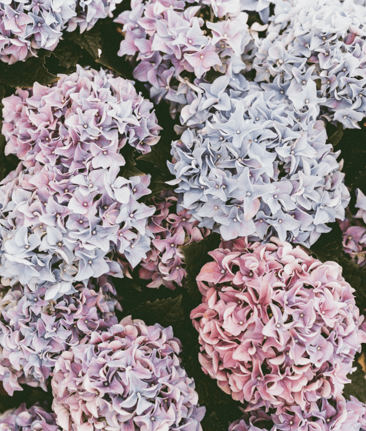 how to network as an introvert - new lune