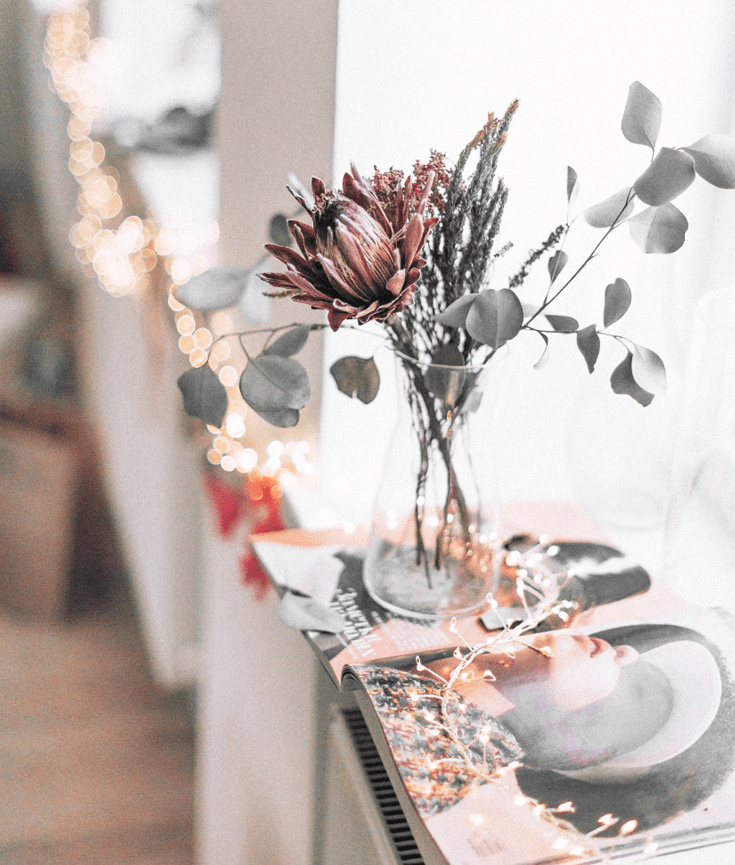 how to find out what you really want in life - new lune