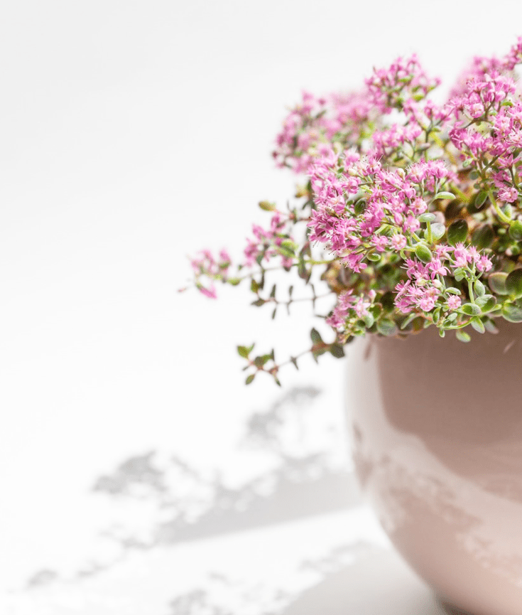 are tetra paks recyclable - 5 benefits - new lune