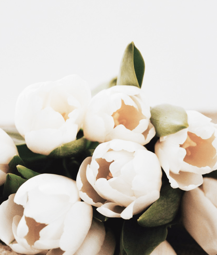 what to know before booking a psychic for your event - new lune