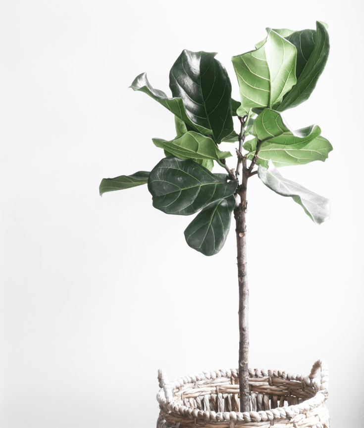 why you should organise before moving into your new home - new lune