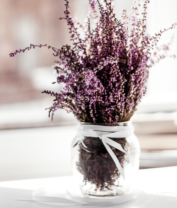 how to let of things and free yourself - new lune